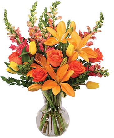 Blooming at Dawn arrangement with orange lilies, snapdragons, and tulips, designed at Paonia Flower Shop